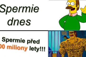meme